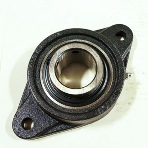 2 Inch Bore  2 Bolt Flange Bearing